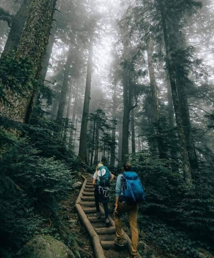 Hostal La Fulana Zipaquirá Dış mekan fotoğraf